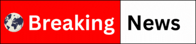 Online News Portal